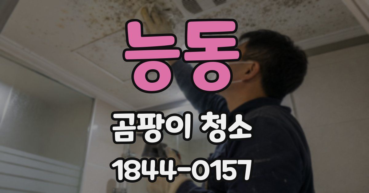능동 곰팡이 청소