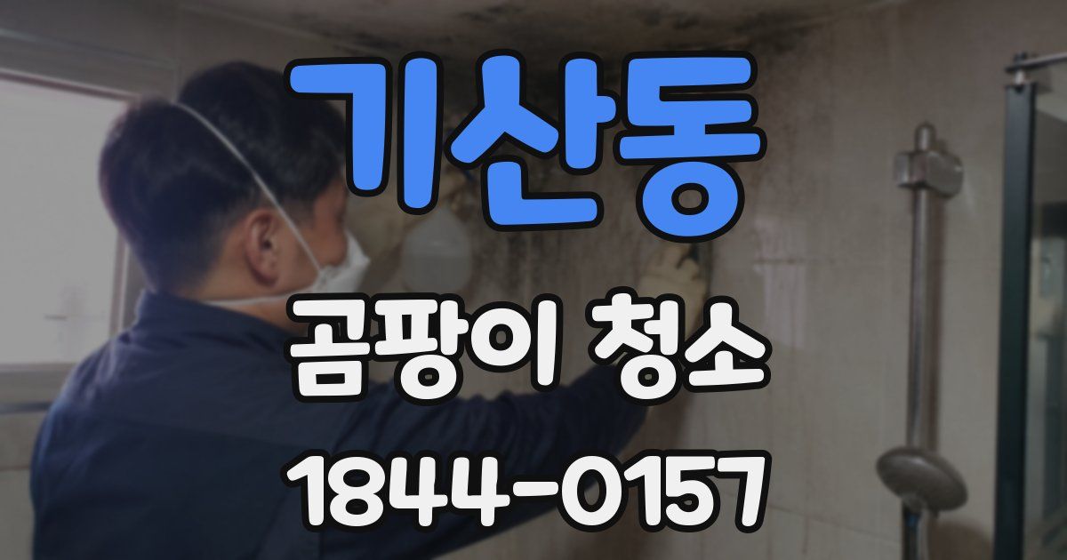 기산동 곰팡이 청소