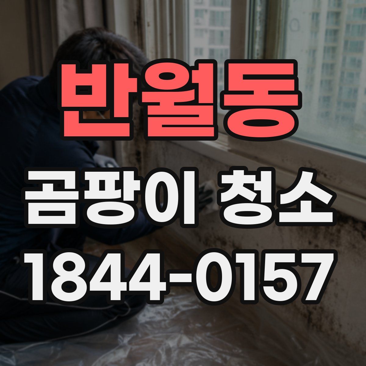 반월동 곰팡이 청소