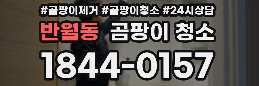 반월동 곰팡이 청소