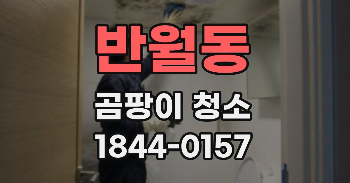 반월동 곰팡이 청소