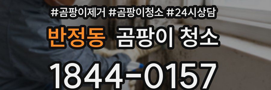반정동 곰팡이 청소