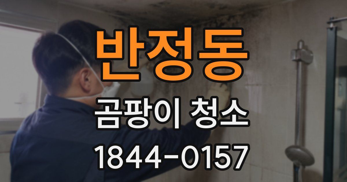 반정동 곰팡이 청소