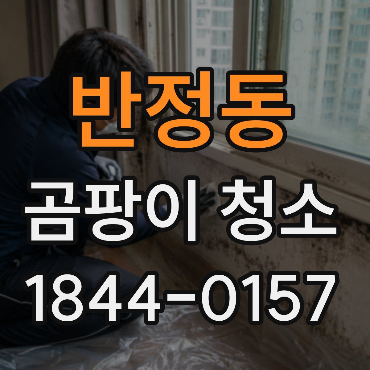 반정동 곰팡이 청소