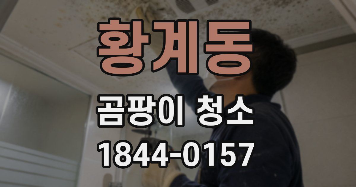 황계동 곰팡이 청소