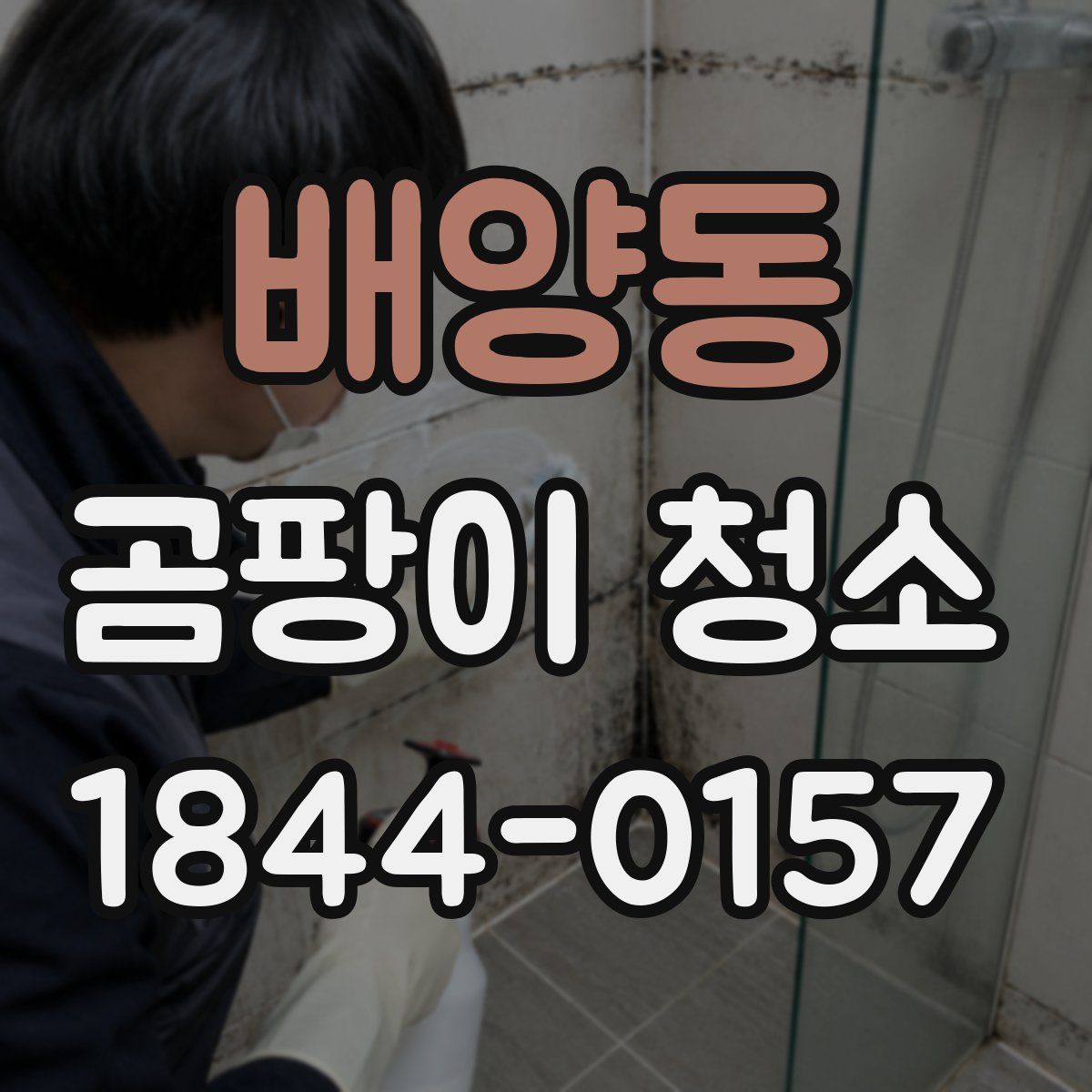배양동 곰팡이 청소