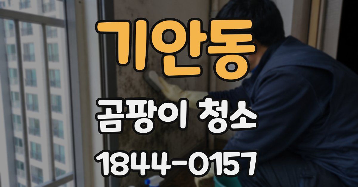 기안동 곰팡이 청소