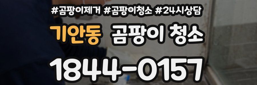 기안동 곰팡이 청소