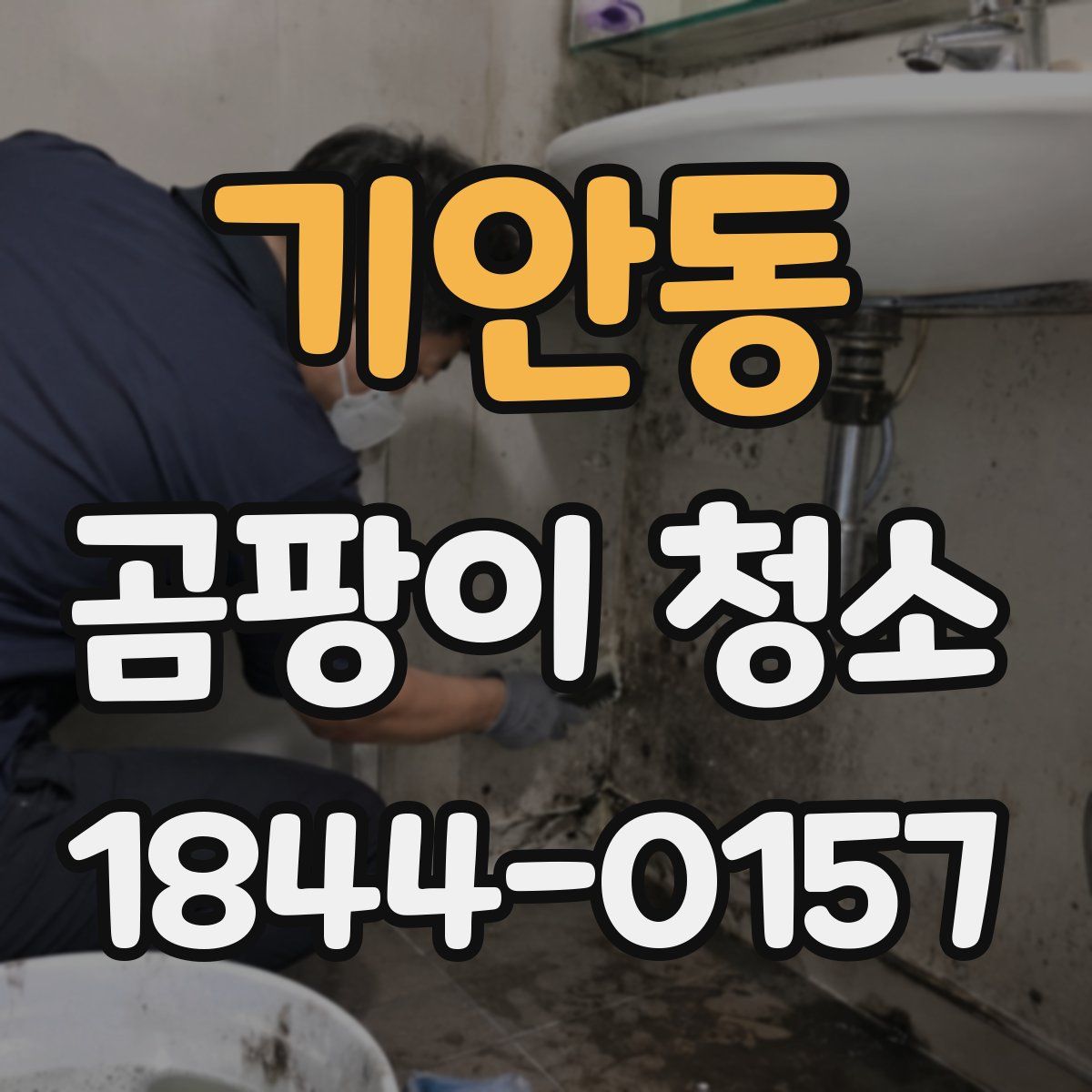 기안동 곰팡이 청소