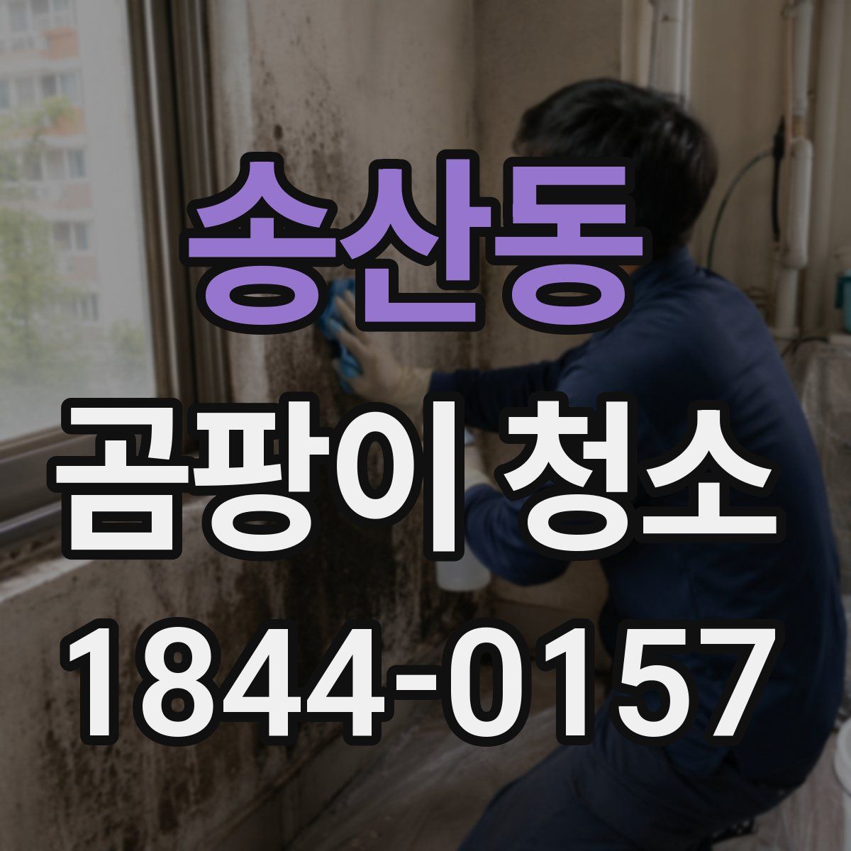 송산동 곰팡이 청소