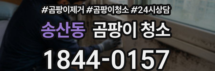 송산동 곰팡이 청소