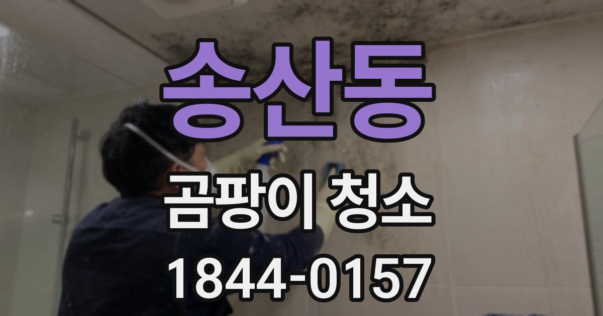 송산동 곰팡이 청소