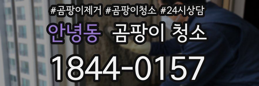 안녕동 곰팡이 청소