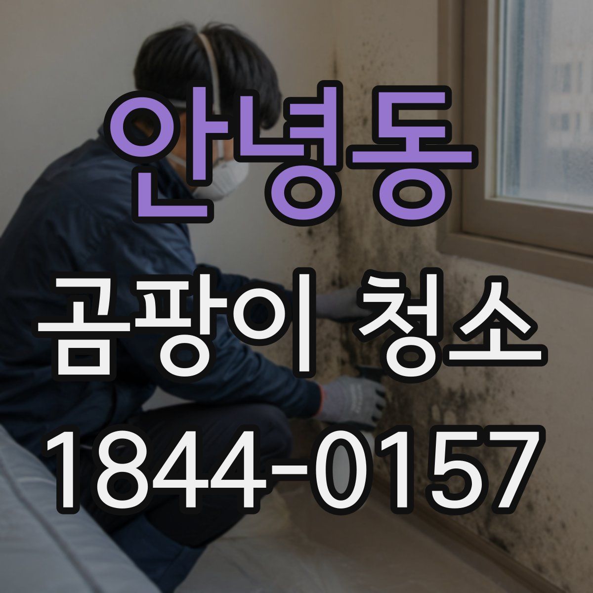 안녕동 곰팡이 청소