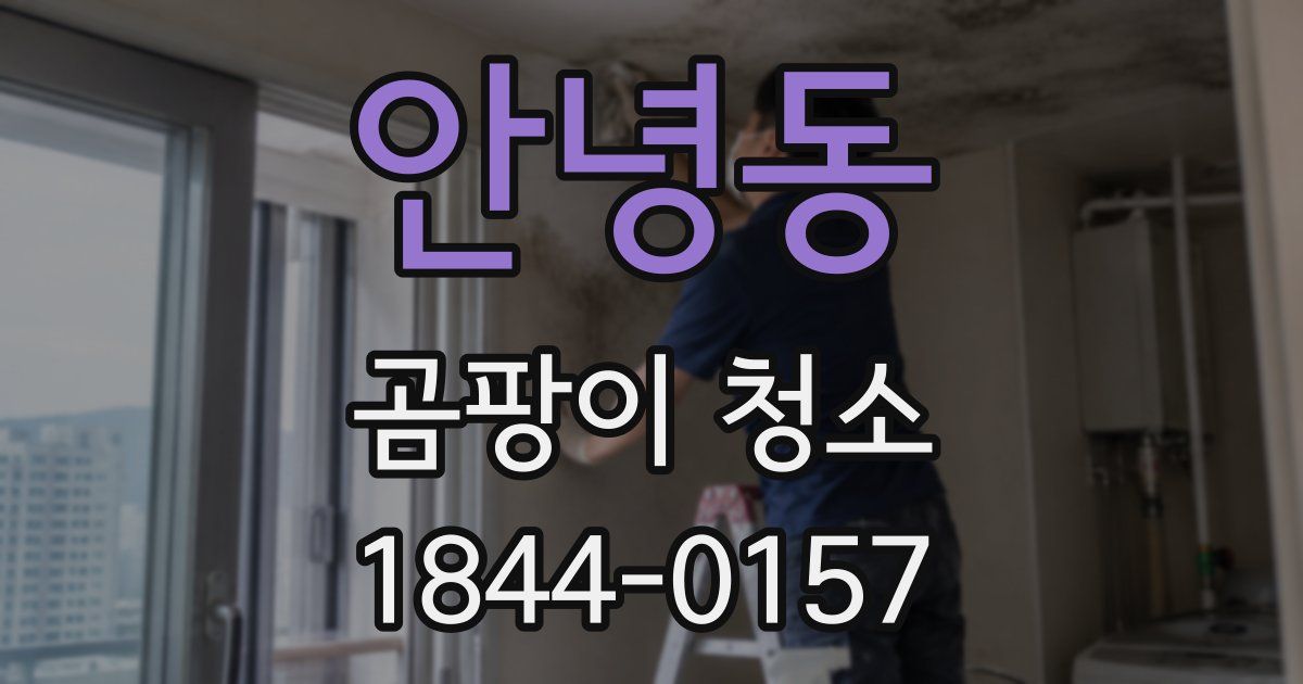 안녕동 곰팡이 청소