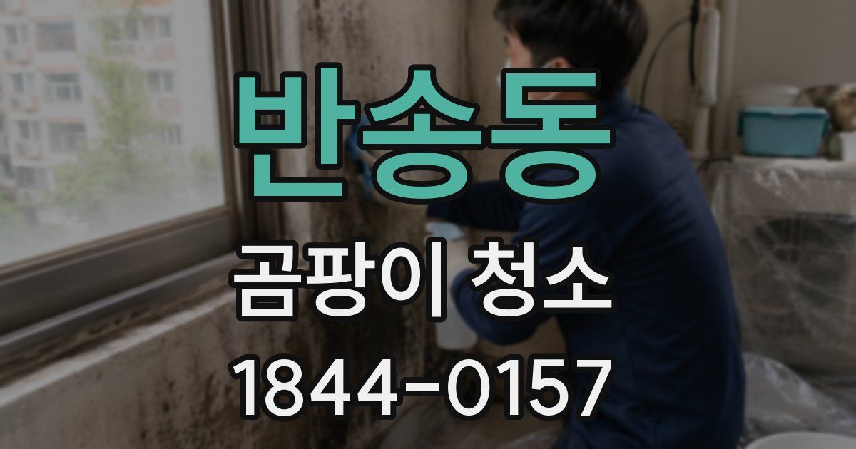반송동 곰팡이 청소