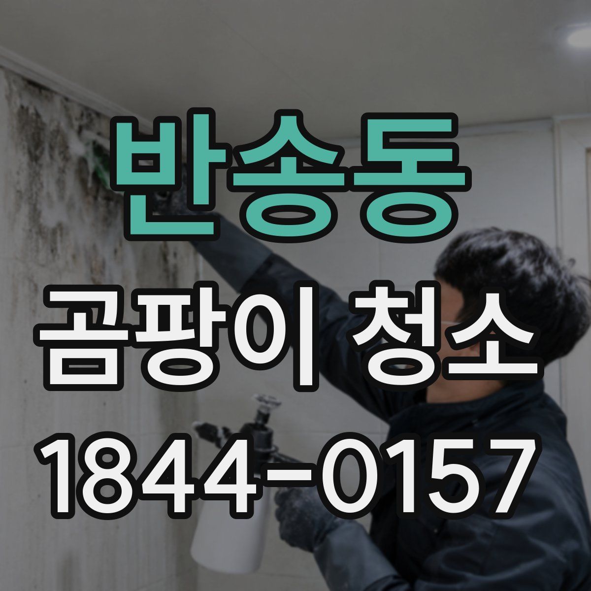반송동 곰팡이 청소