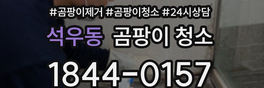 석우동 곰팡이 청소