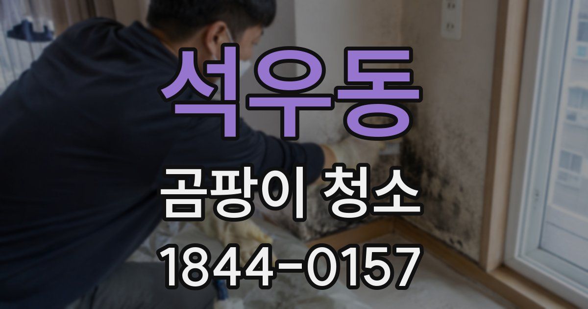 석우동 곰팡이 청소