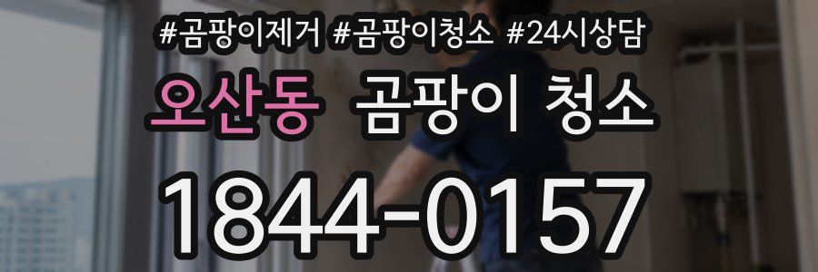 오산동 곰팡이 청소