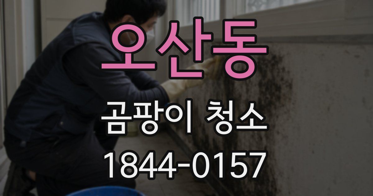 오산동 곰팡이 청소