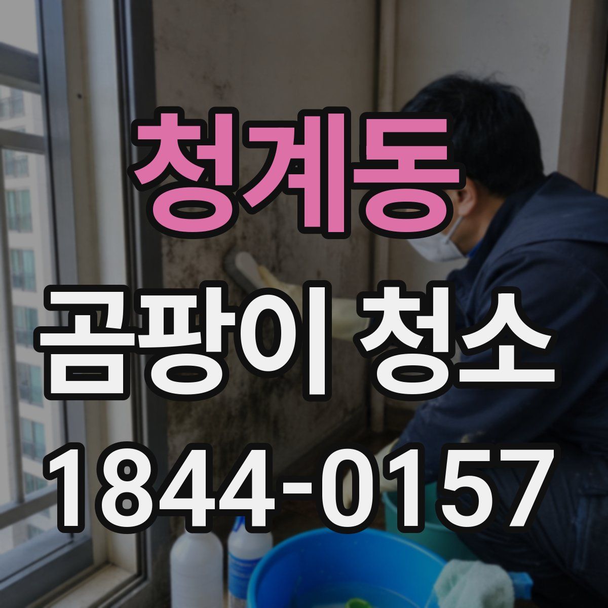 청계동 곰팡이 청소