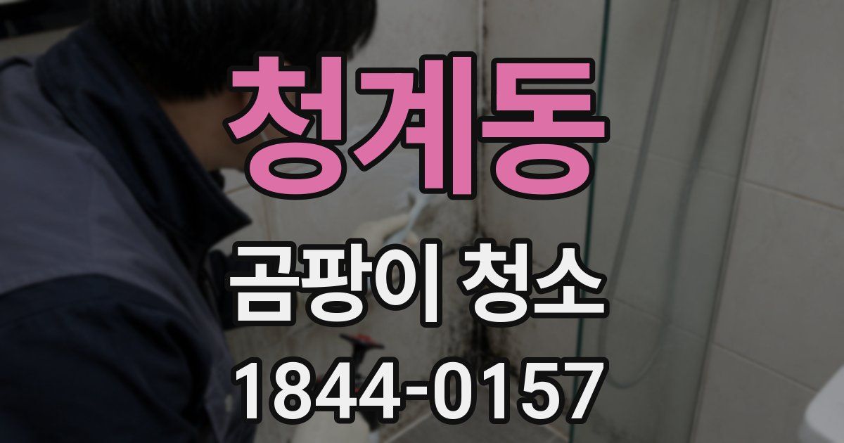 청계동 곰팡이 청소