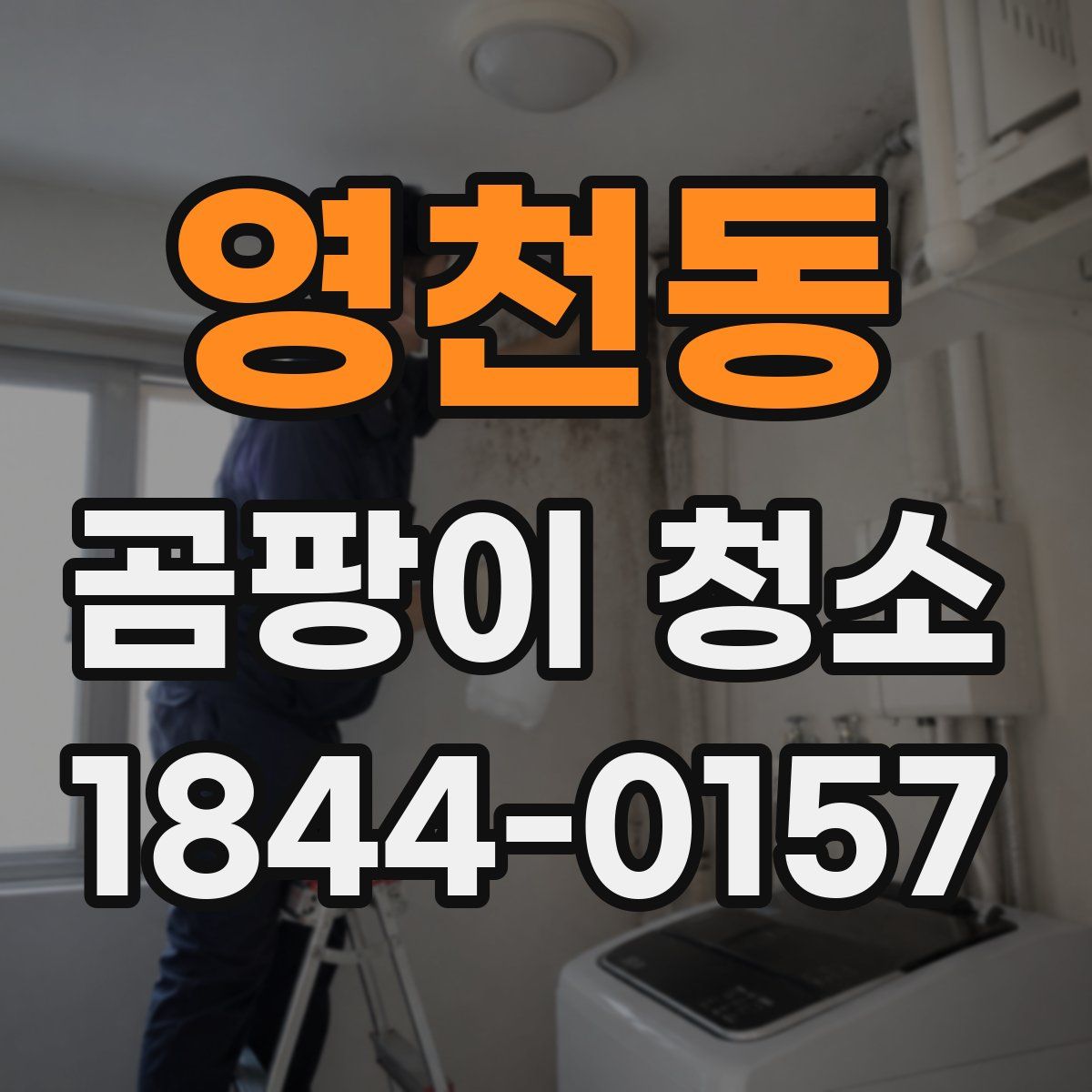 영천동 곰팡이 청소