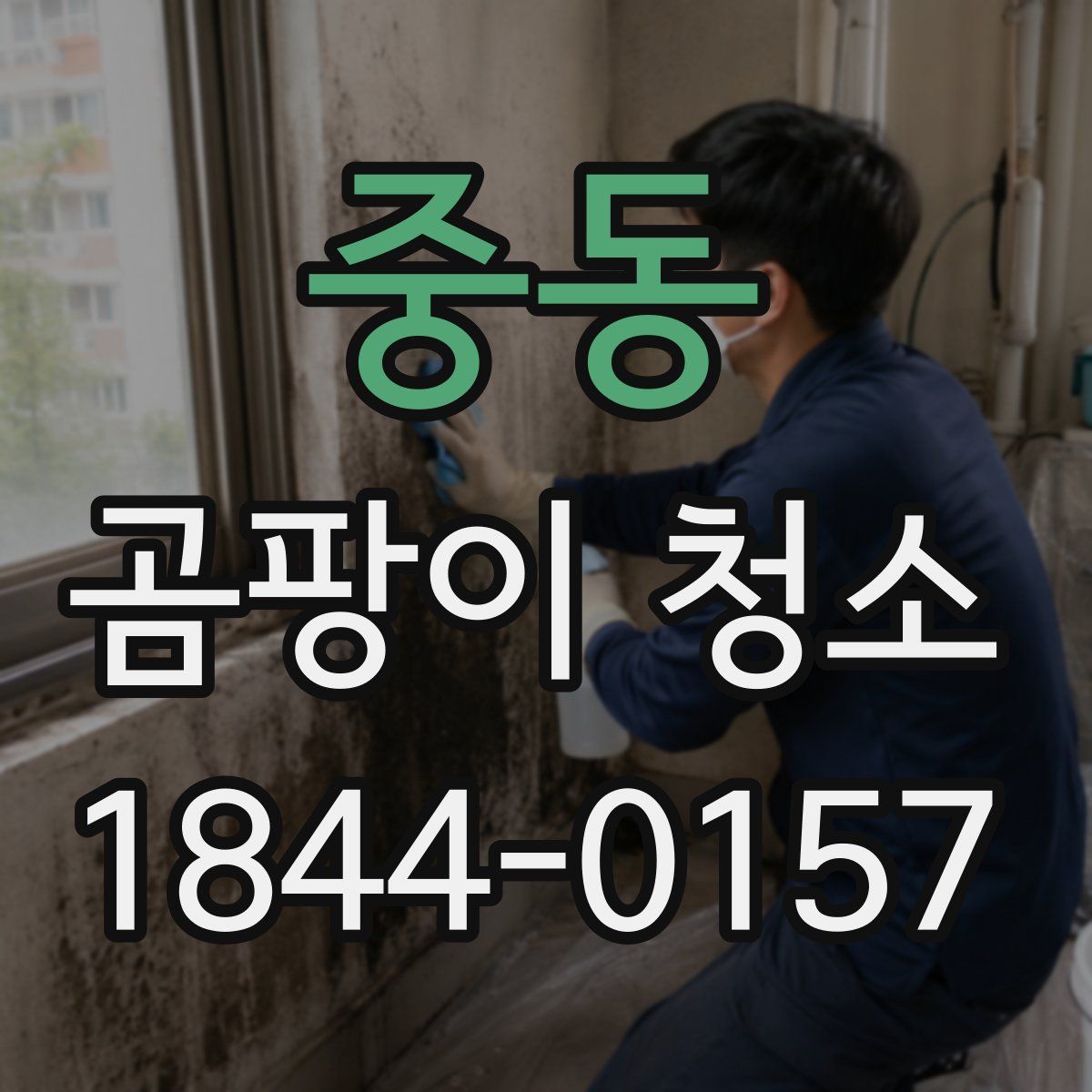 중동 곰팡이 청소