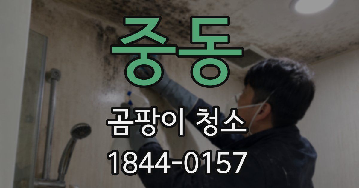 중동 곰팡이 청소