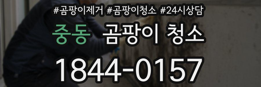 중동 곰팡이 청소