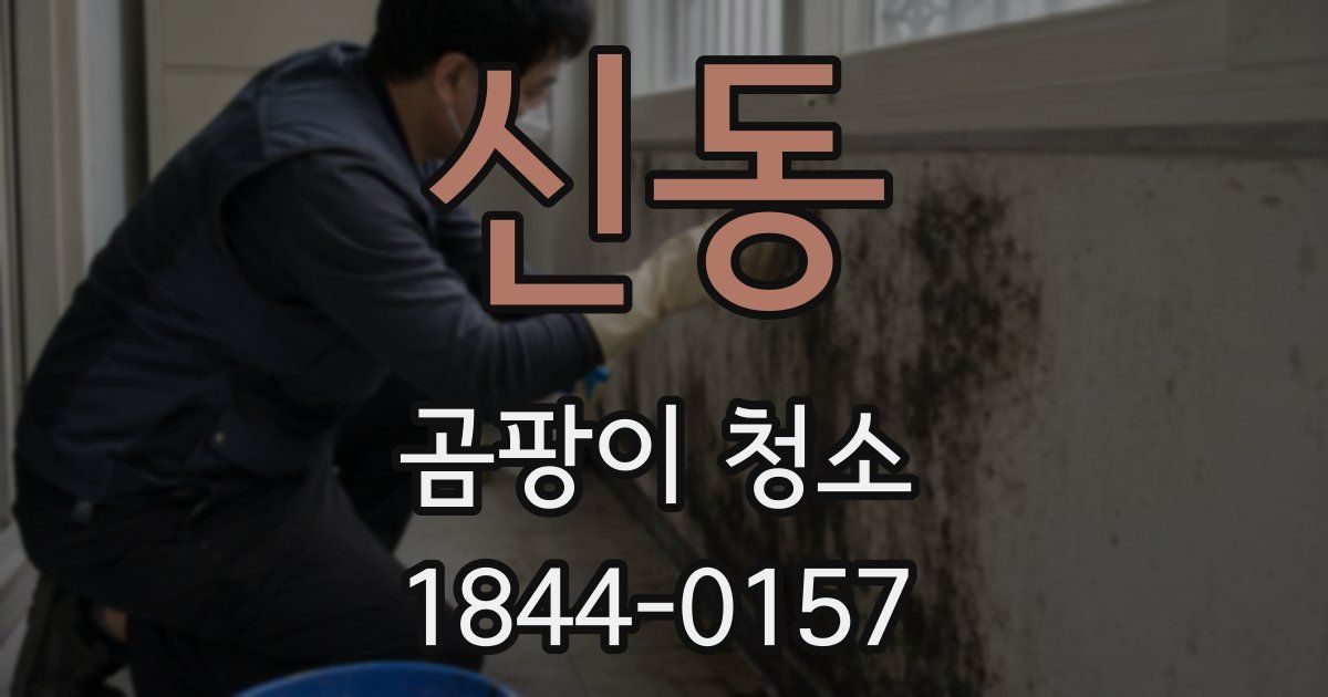 신동 곰팡이 청소