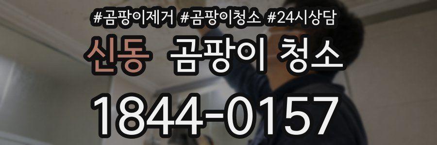 신동 곰팡이 청소