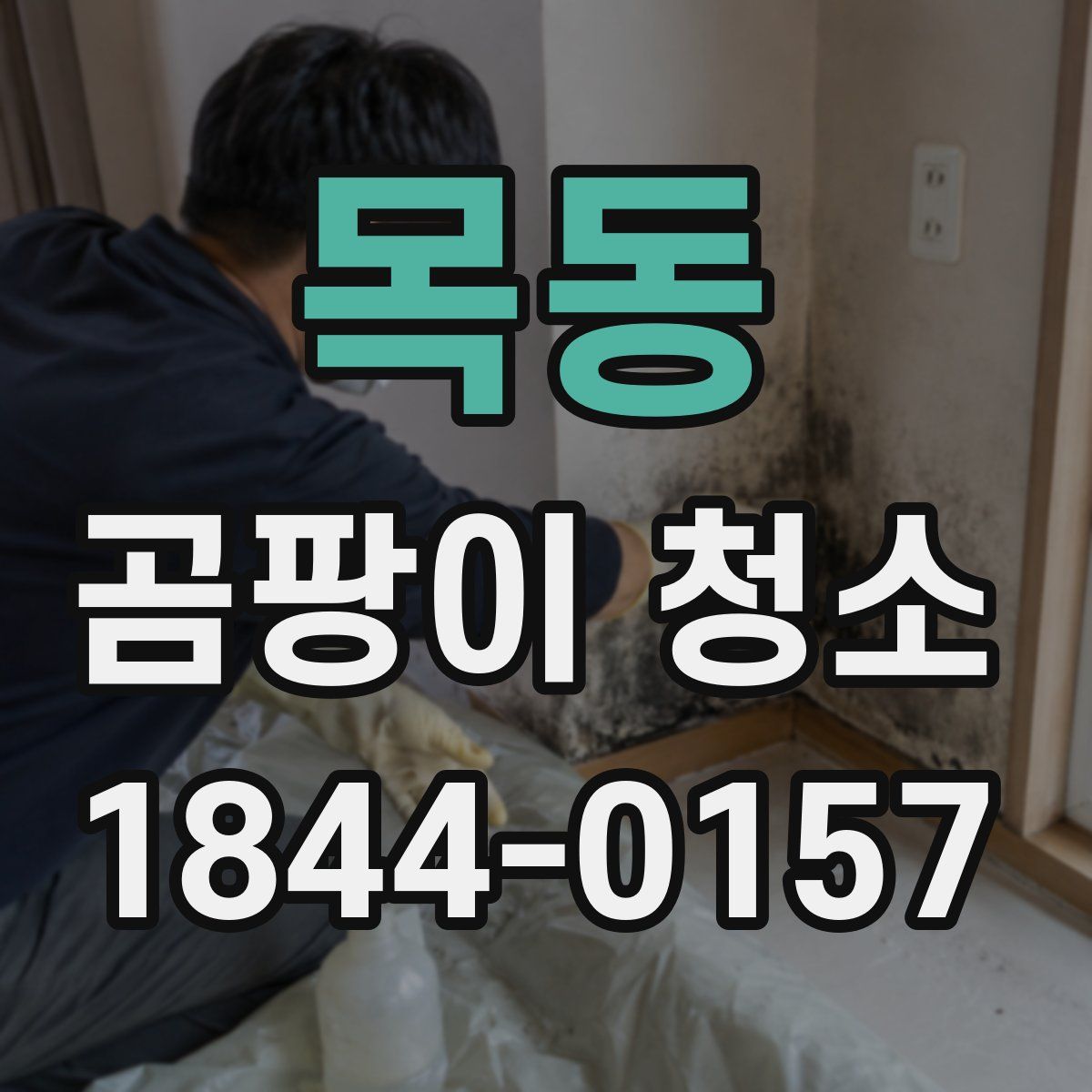 목동 곰팡이 청소