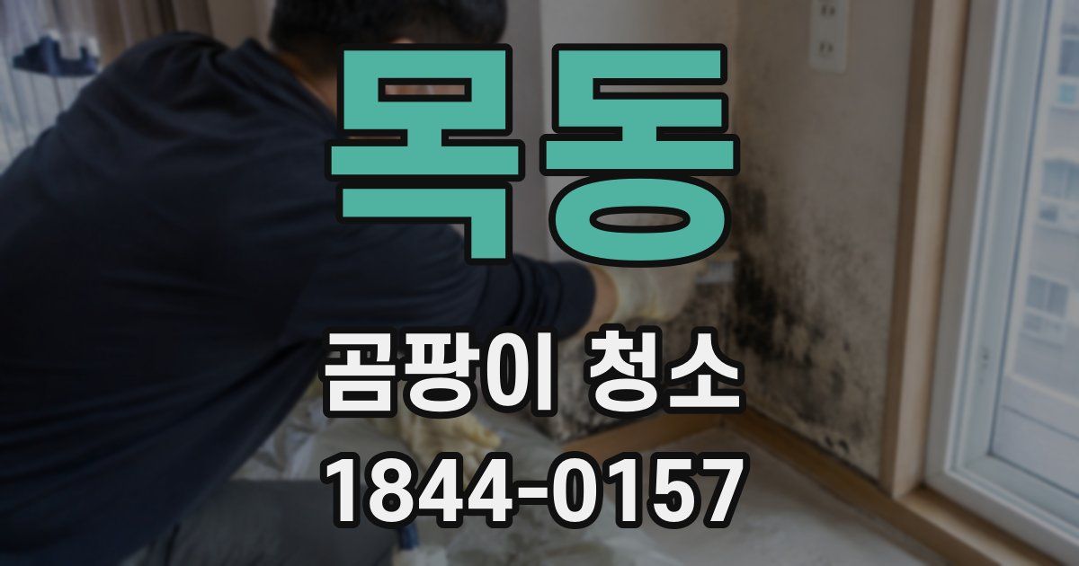 목동 곰팡이 청소