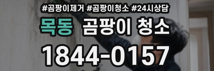 목동 곰팡이 청소