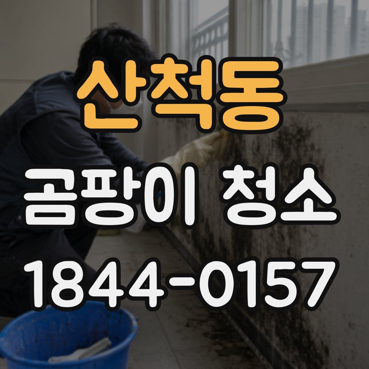 산척동 곰팡이 청소