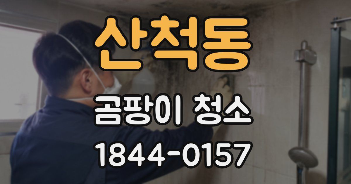 산척동 곰팡이 청소