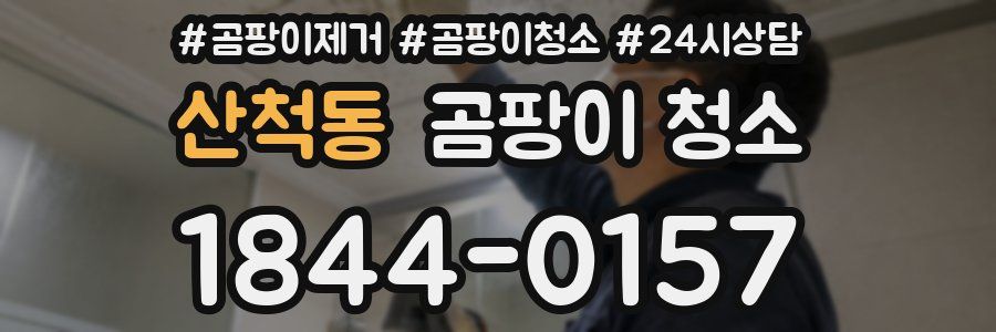 산척동 곰팡이 청소