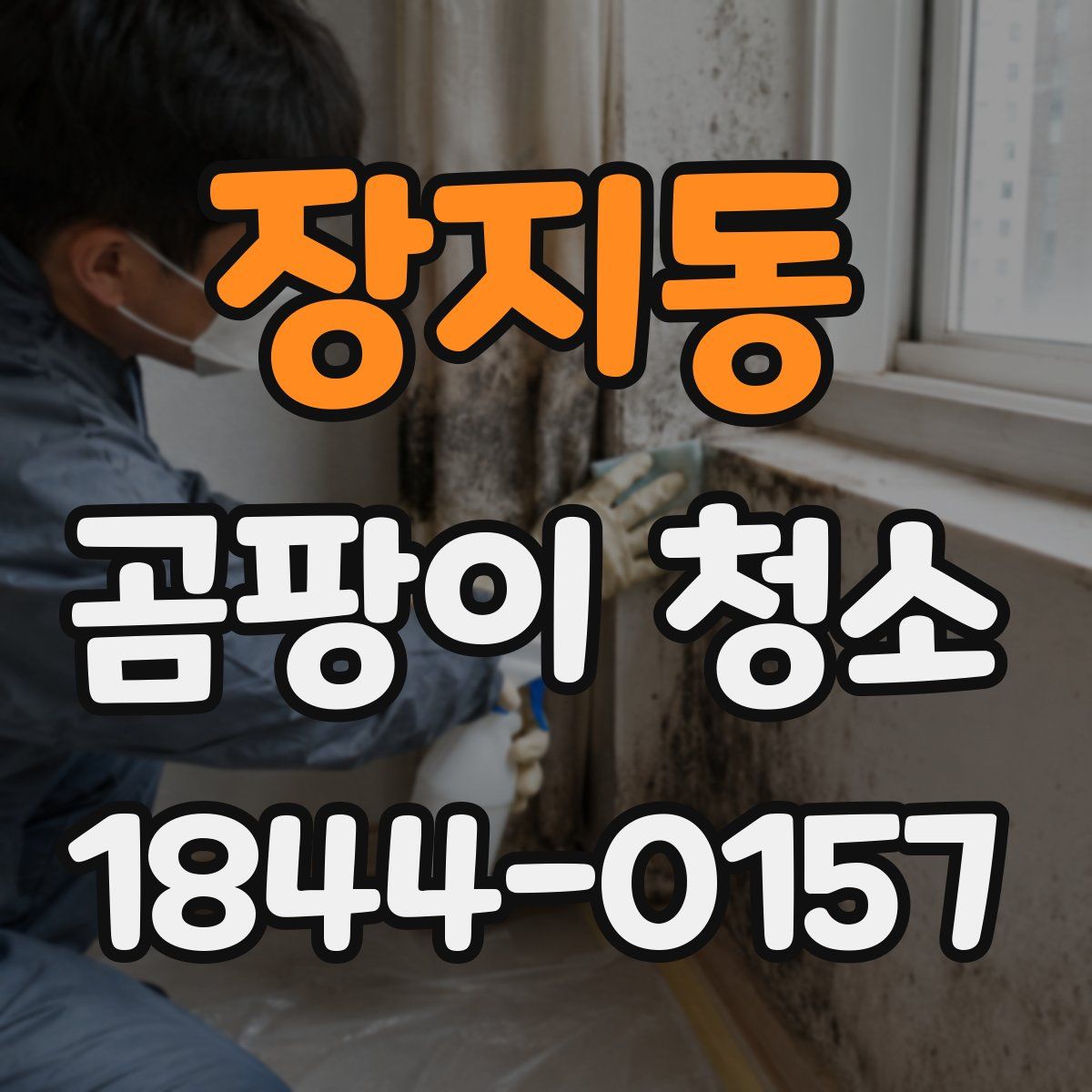 장지동 곰팡이 청소