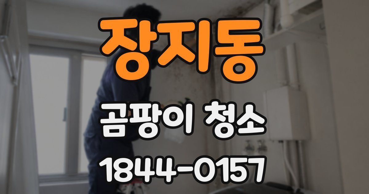장지동 곰팡이 청소