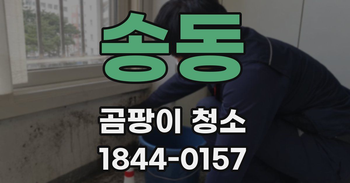 송동 곰팡이 청소