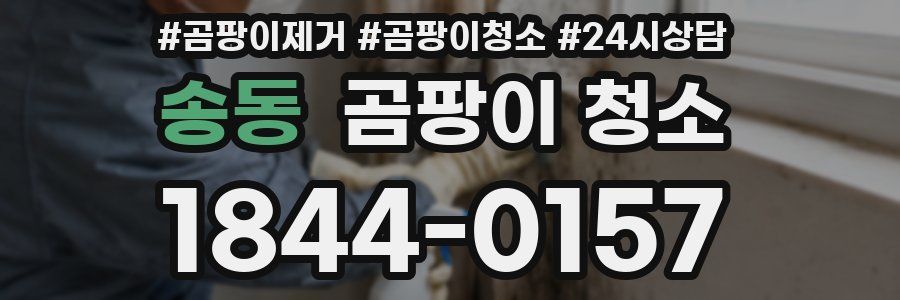 송동 곰팡이 청소