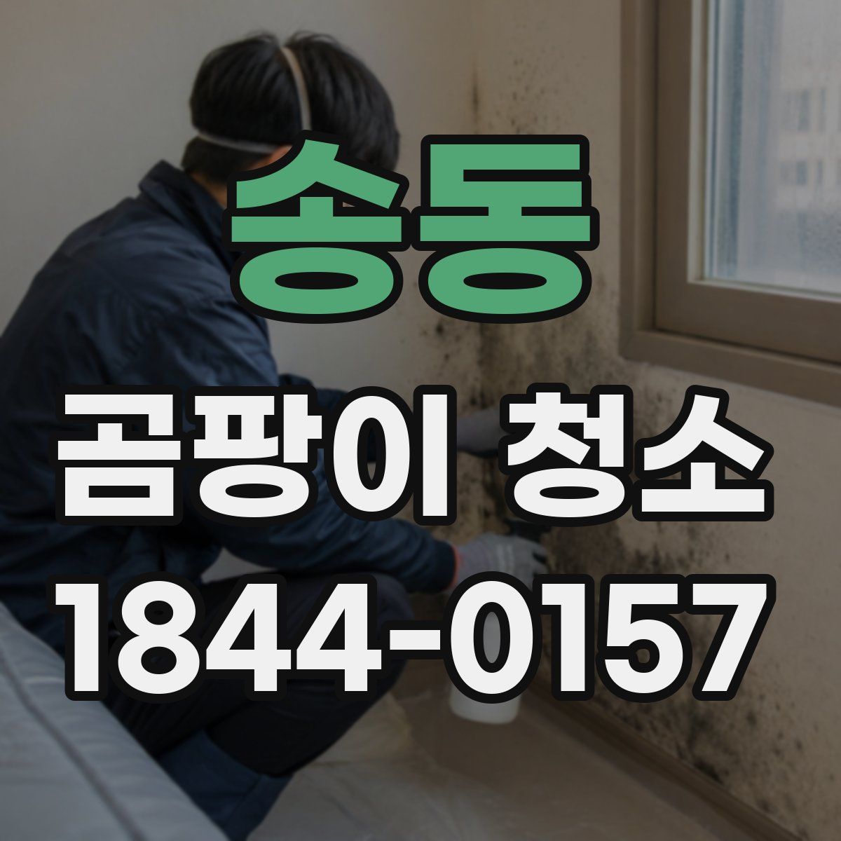 송동 곰팡이 청소