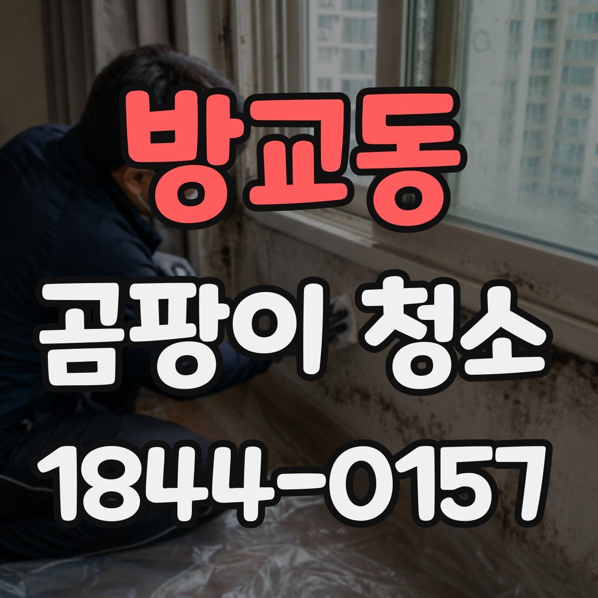 방교동 곰팡이 청소