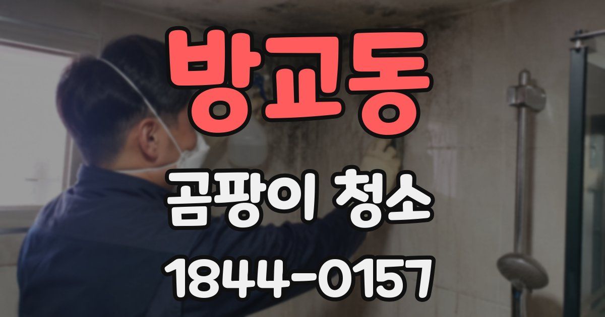 방교동 곰팡이 청소