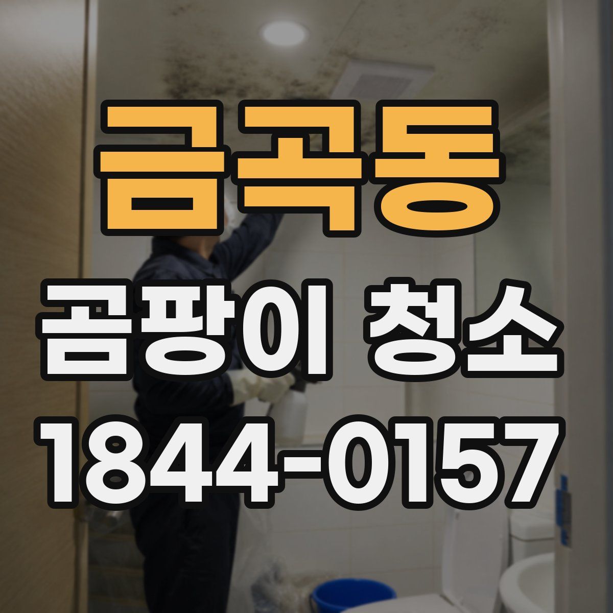 금곡동 곰팡이 청소