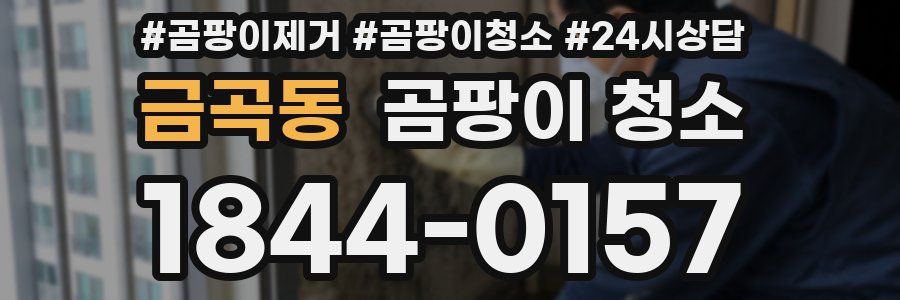 금곡동 곰팡이 청소