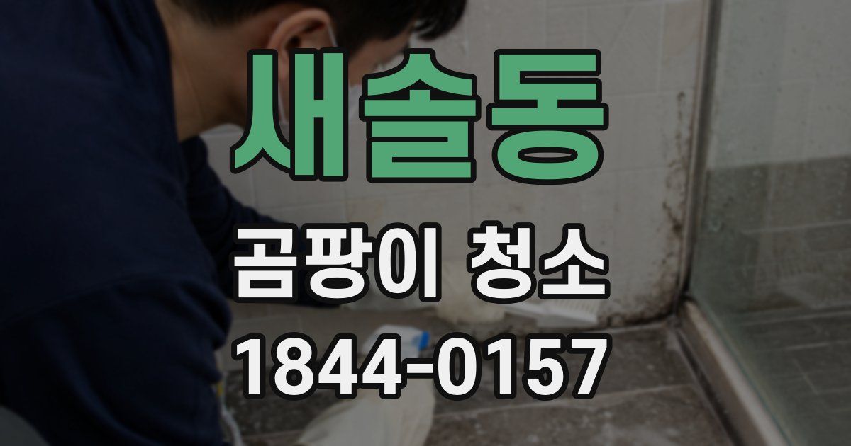 새솔동 곰팡이 청소