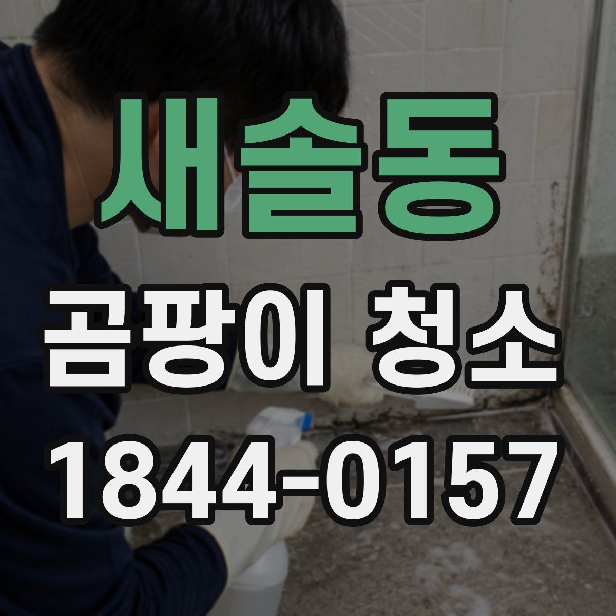 새솔동 곰팡이 청소